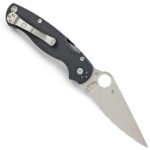 Ніж Spyderco Paramilitary 2 C81GS2 Full Serrated Салатовий