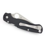 Ніж Spyderco Paramilitary 2 C81GS2 Full Serrated Салатовий