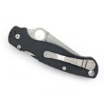 Ніж Spyderco ParaMilitary 2 Exclusive Tanto Салатовий